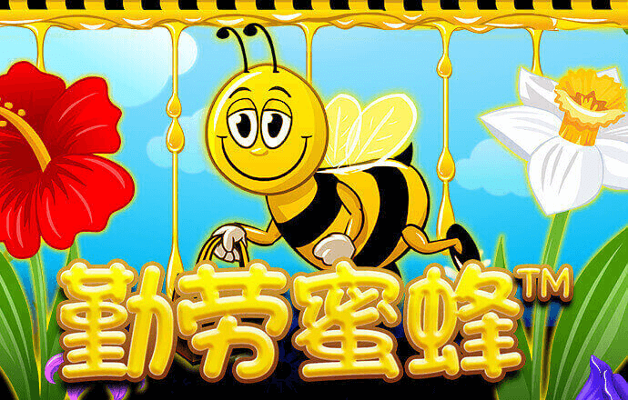 非凡体育官网网址是什么