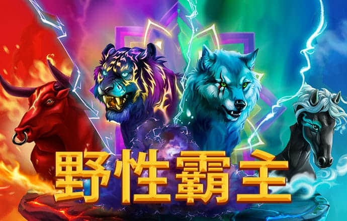 星空app官网版